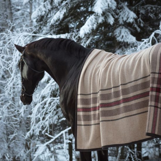 Horse Blanket No. 01