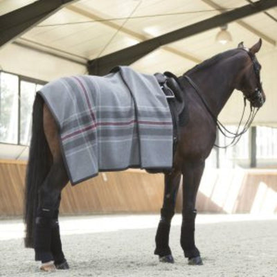 Horse Blanket No. 02